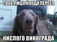твое лицо когда переел кислого винограда