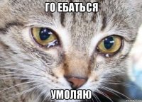 го ебаться умоляю