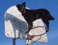  да!