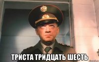  триста тридцать шесть