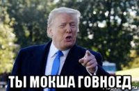  ты мокша говноед