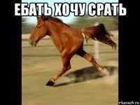 ебать хочу срать 