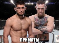  приматы