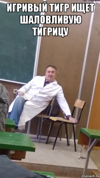 игривый тигр ищет шаловливую тигрицу 