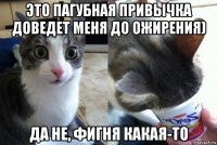 это пагубная привычка доведет меня до ожирения) да не, фигня какая-то