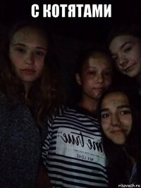 с котятами 