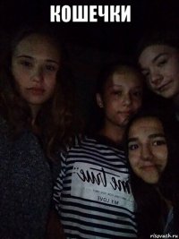 кошечки 