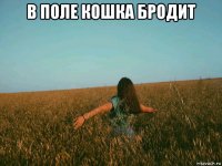 в поле кошка бродит 