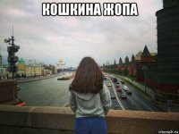 кошкина жопа 