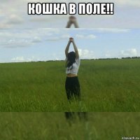 кошка в поле!! 