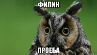 филин проеба