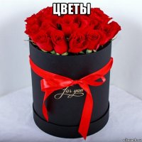 цветы 