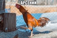 арсений 