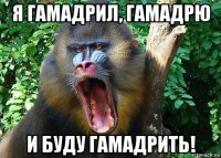 я гамадрил, гамадрю и буду гамадрить!