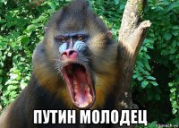  путин молодец