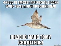 фиббс не сможет перечесать в один зачёс через атлантический океан яндекс мапс тому свидетель!