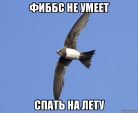 фиббс не умеет спать на лету