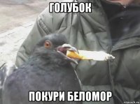 голубок покури беломор