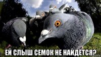  ей слыш семок не найдётся?
