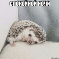 спокойной ночи 