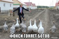  фокси гоняет ботов
