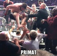  primat