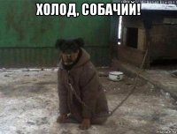 холод, собачий! 