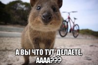 а вы что тут делаете, аааа???