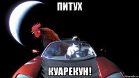 питух куарекун!