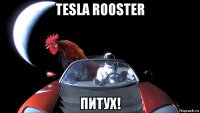 tesla rooster питух!