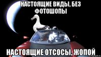 настоящие виды, без фотошопы настоящие отсосы, жопой