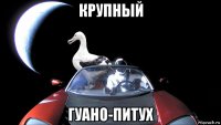 крупный гуано-питух