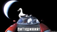  питушиний!