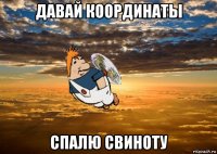 давай координаты спалю свиноту