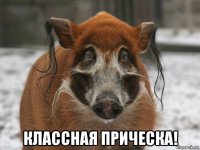  классная прическа!