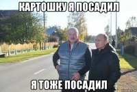 картошку я посадил я тоже посадил