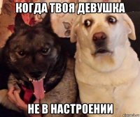 когда твоя девушка не в настроении