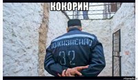 кокорин 