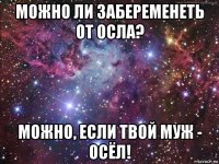 можно ли забеременеть от осла? можно, если твой муж - осёл!