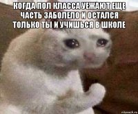 когда пол класса уежают еще часть заболело и остался только ты и учишься в школе 