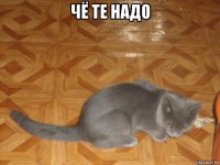 чё те надо 