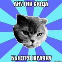 ану гни сюда быстро жрачку