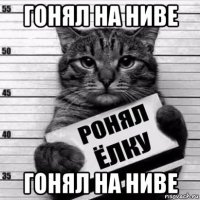 гонял на ниве гонял на ниве