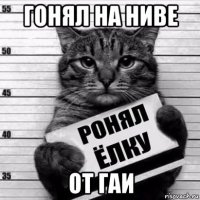 гонял на ниве от гаи