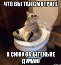 что вы так смотрите я сижу об ытеньке думаю
