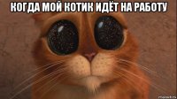 когда мой котик идёт на работу 