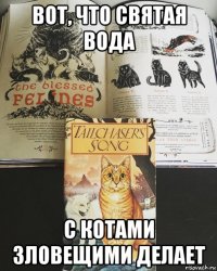 вот, что святая вода с котами зловещими делает
