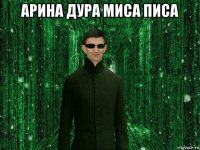арина дура миса писа 