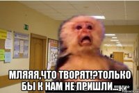  мляяя,что творят!?только бы к нам не пришли...