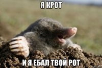 я крот и я ебал твой рот